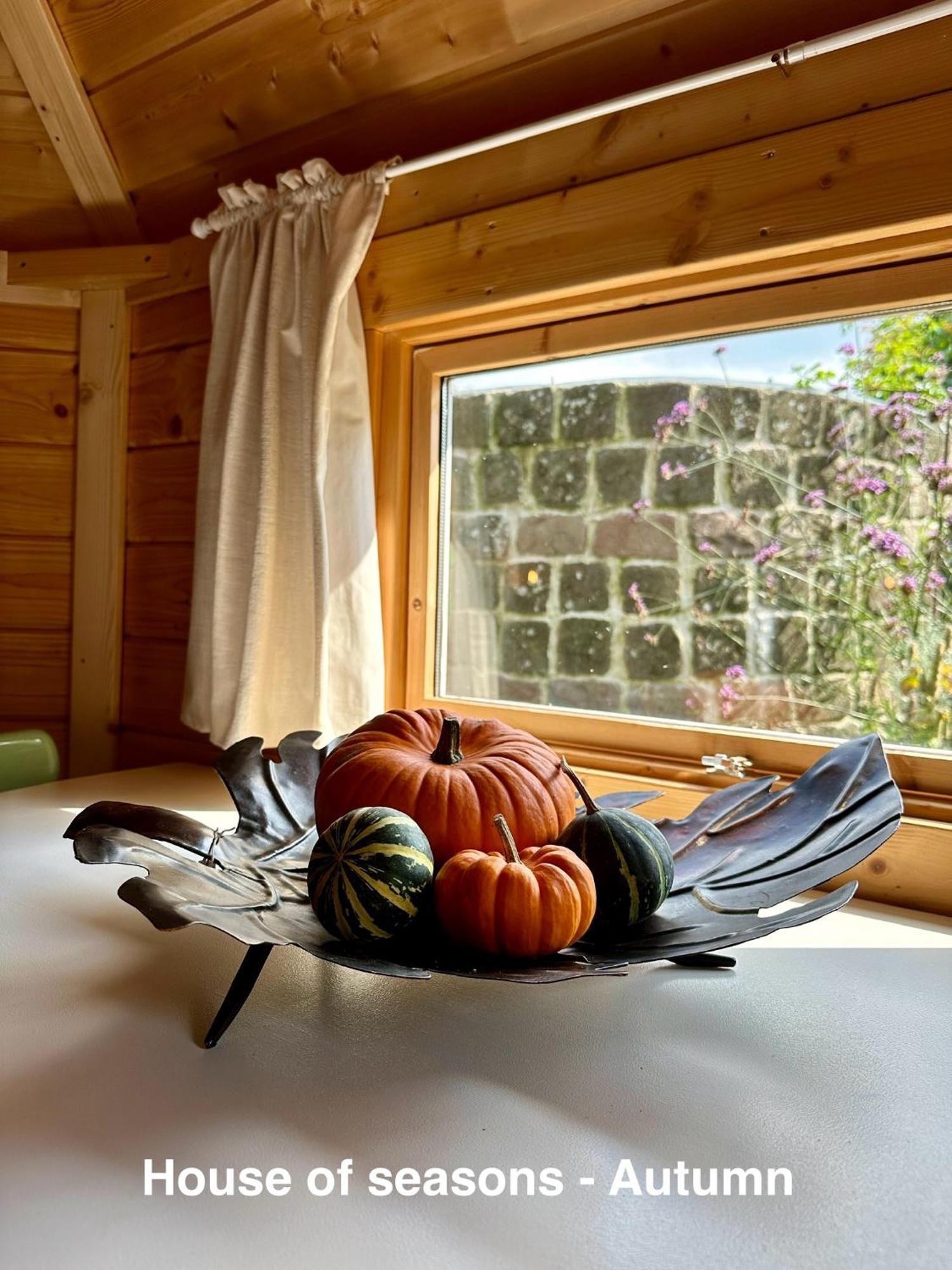 B&B Cosy Garden Alblasserdam Kamer foto
