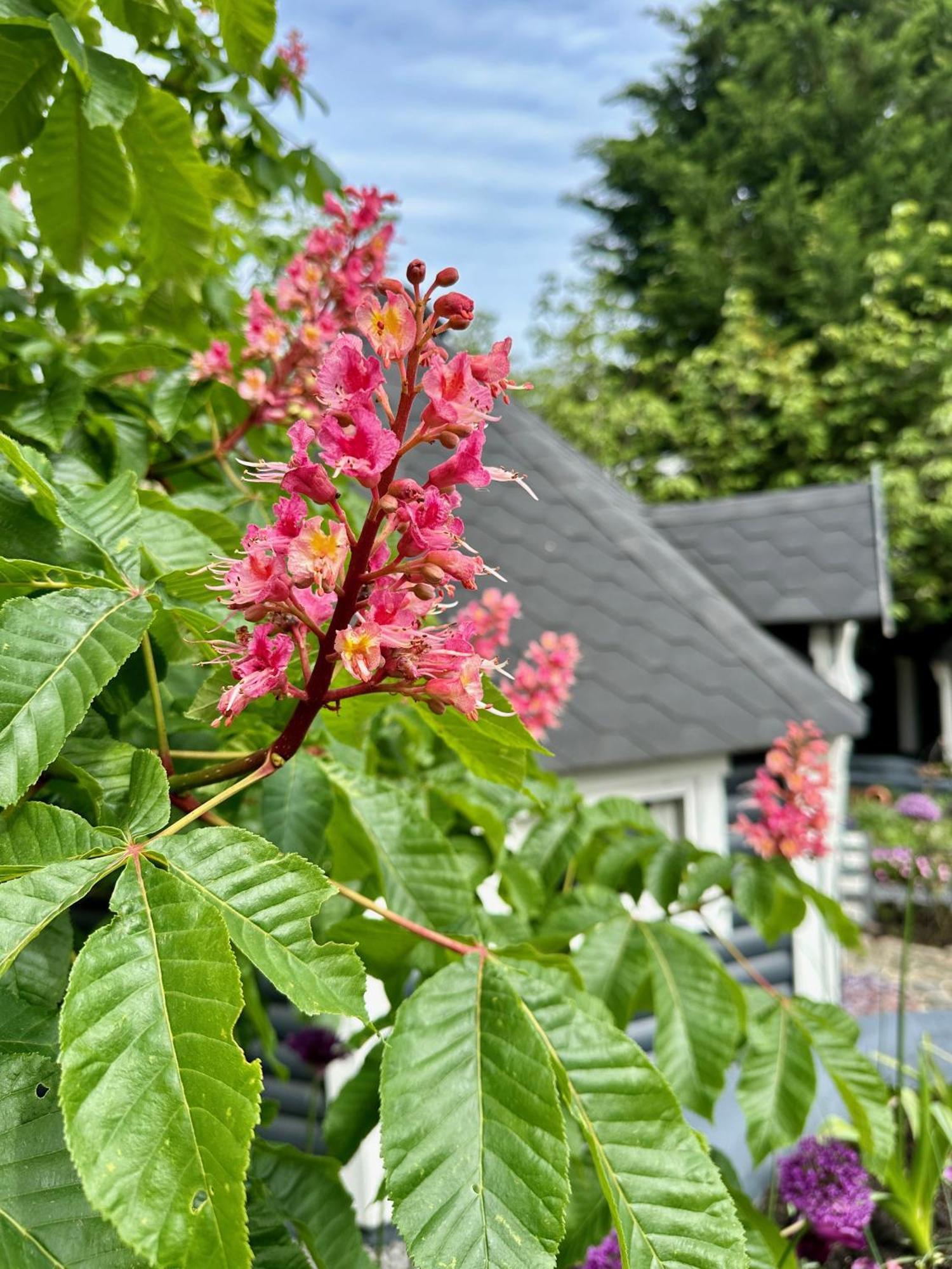 B&B Cosy Garden Alblasserdam Buitenkant foto